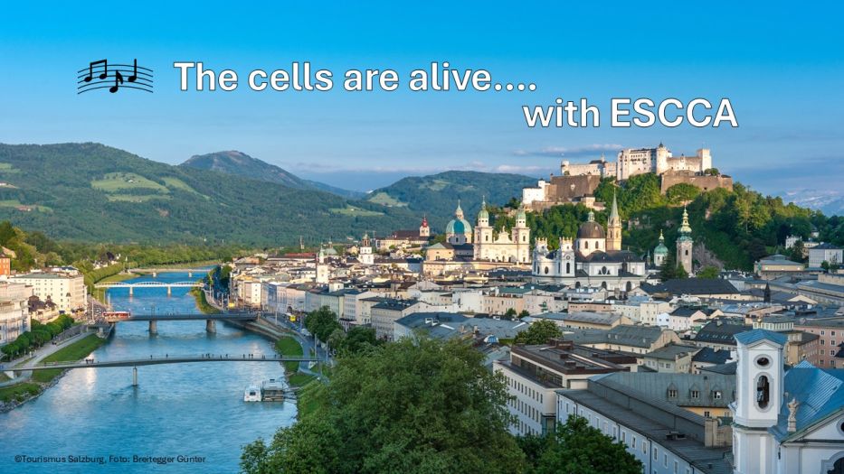 ©Tourismus Salzburg, Foto: Breitegger Günter